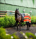 Horseware Newmarket Fleece Cooler Witney Gold