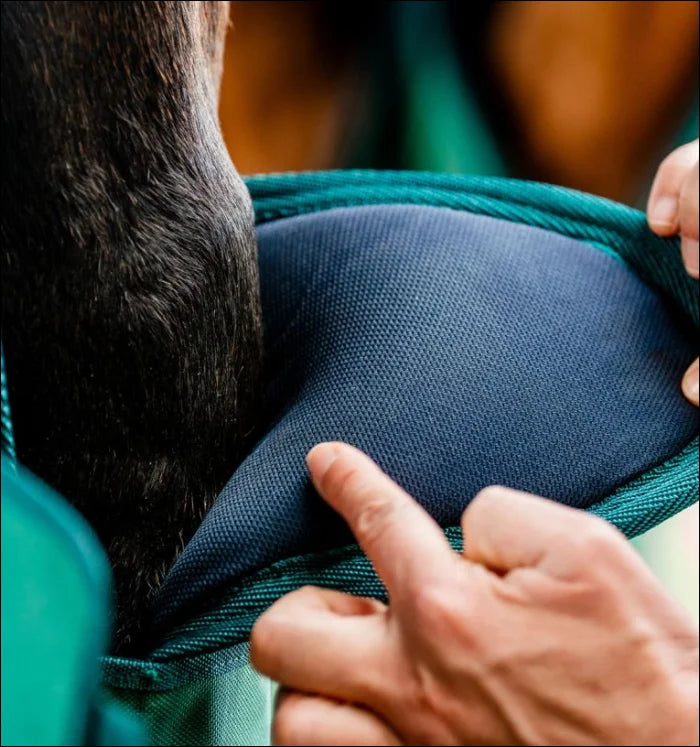 Horseware Signature Travel Boots Green Set of 4