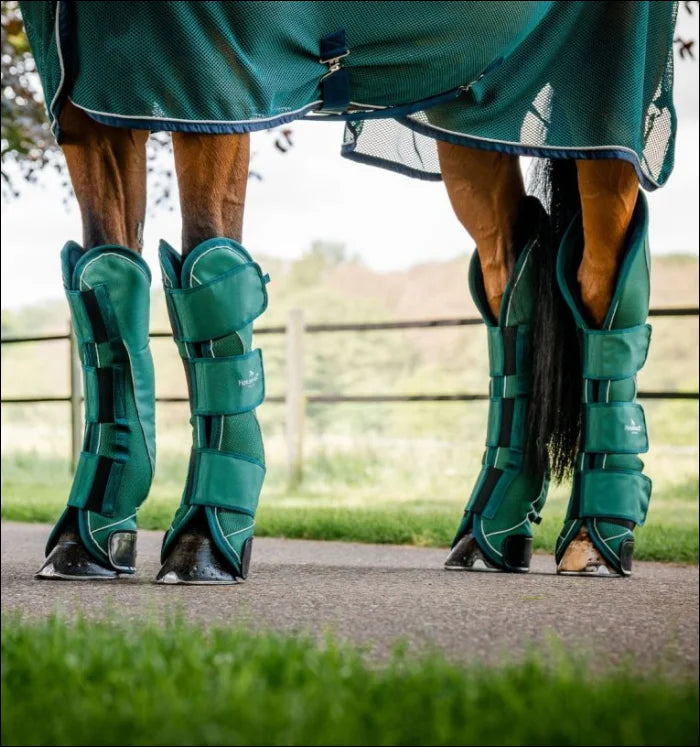 Horseware Signature Travel Boots Green Set of 4