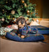 Horseware Xmas Dog Bed Navy Check/Green & Red