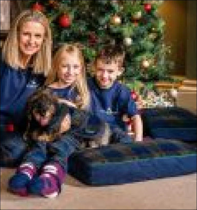 Horseware Xmas Dog Rug Navy Check/Green & Red