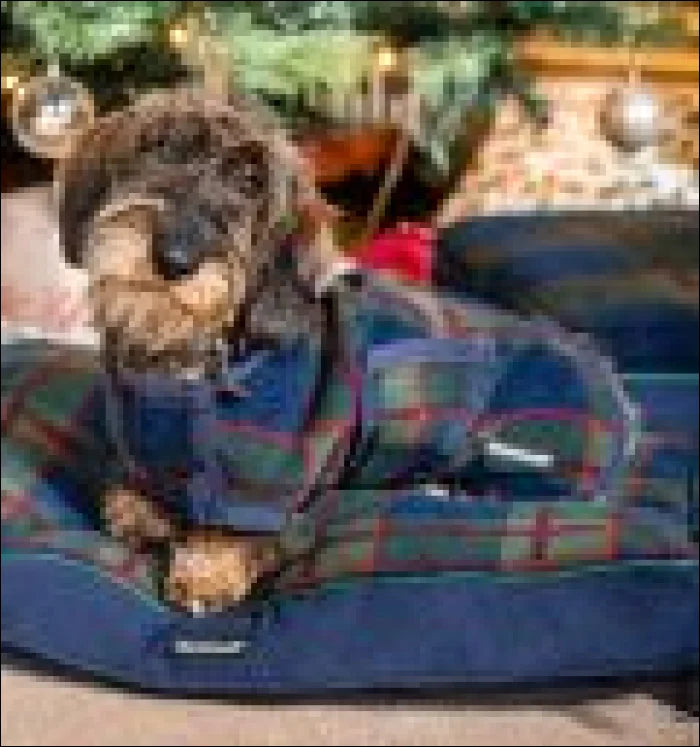 Horseware Xmas Dog Rug Navy Check/Green & Red