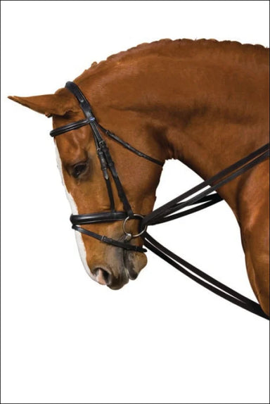 Kincade Nylon Draw Reins - Black - Full