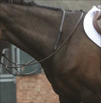 Kincade Running Martingale - Pony / Brown