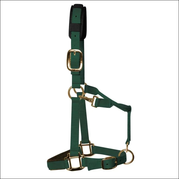 KM Elite Halter - SMALL / Green