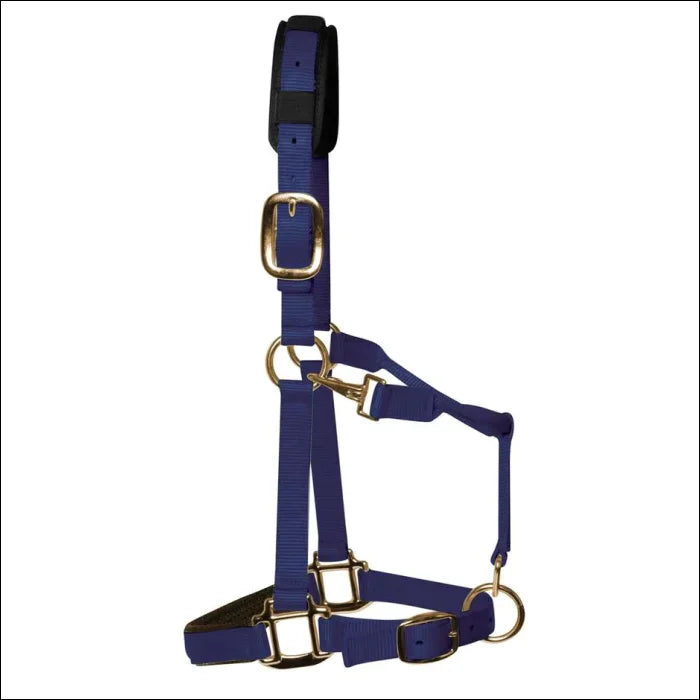 KM Elite Halter - SMALL / Navy