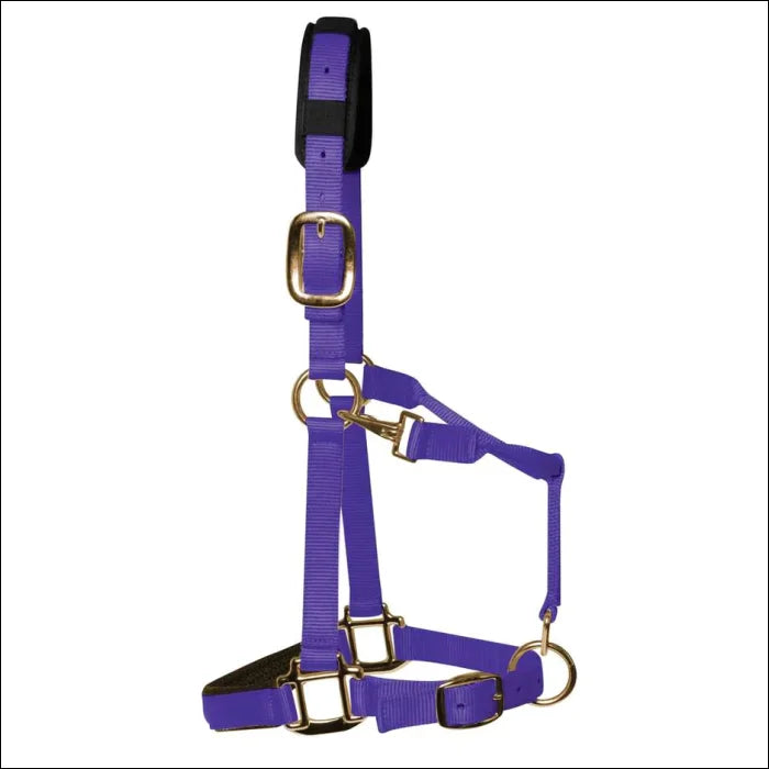 KM Elite Halter - SMALL / Purple