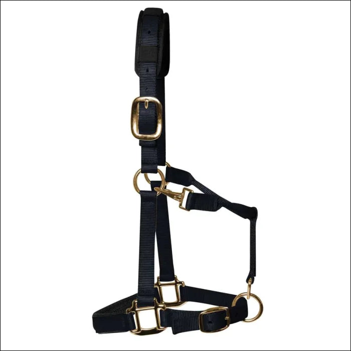 KM Elite Halter - XS / Black