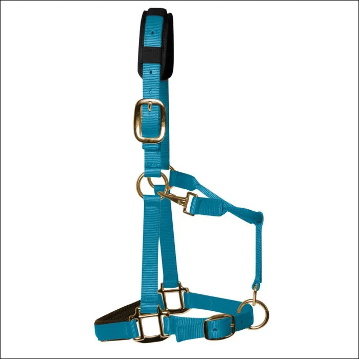 KM Elite Halter - XS / Blue