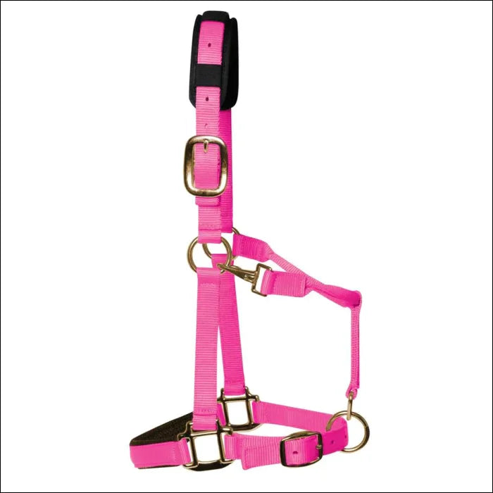 KM Elite Halter - XS / Pink