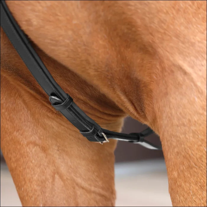 Lusso Three Point Elastic Breastplate