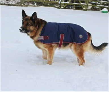 Mackey Buster Dog Coat