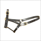 Mackey Classic Leather Headcollar
