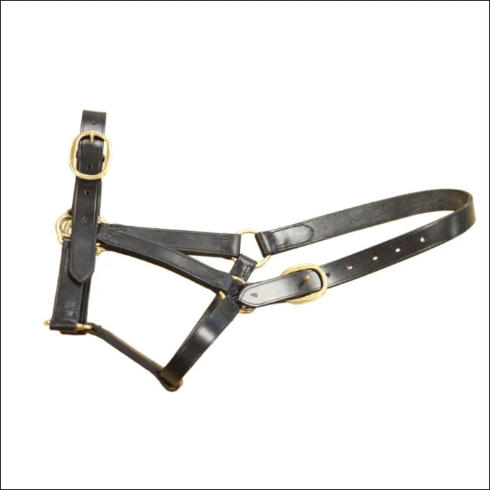 Mackey Classic Leather Headcollar