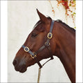 Mackey Classic Leather Headcollar