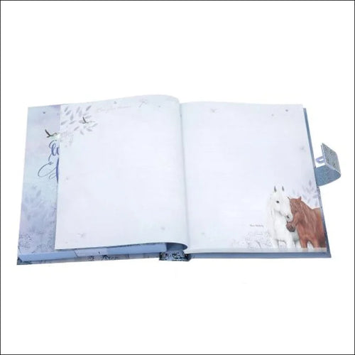 Miss Melody Diary With Code And Sound
