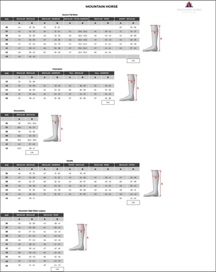 Mountain horse sales sportive high rider