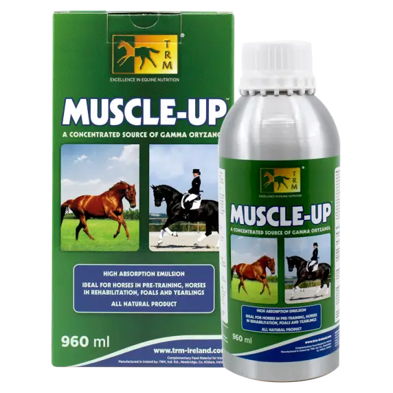 Muscle-Up Liquid - 960ML