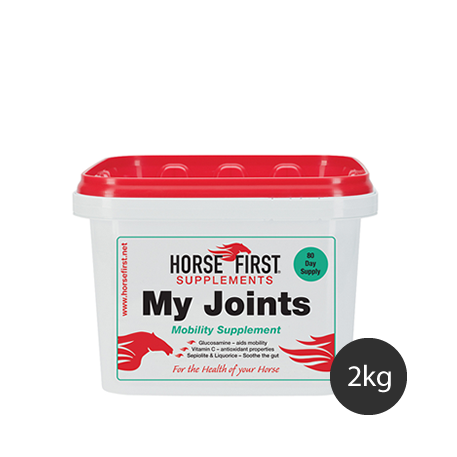 My Joints - Horse First