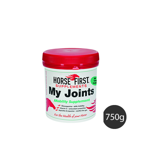 My Joints - Horse First