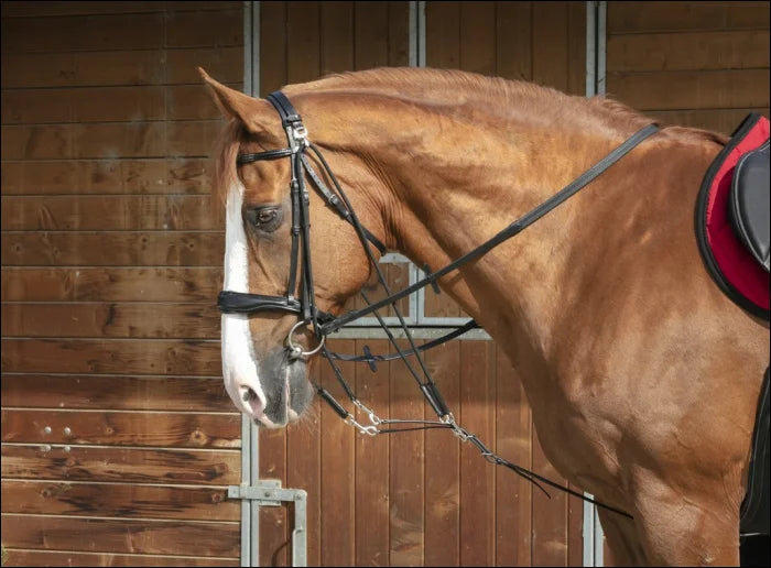 Norton De Gogue Black