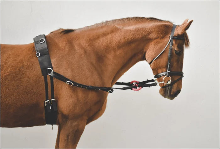 Nylon Side Rein With Rubber Ring