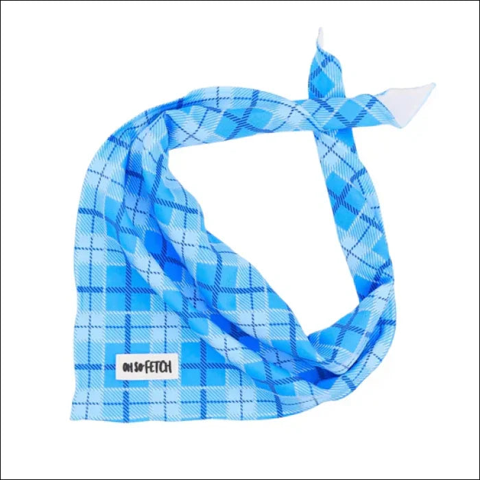 Oh So Fetch Bandana