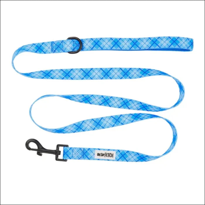 Oh So Fetch Pet Lead