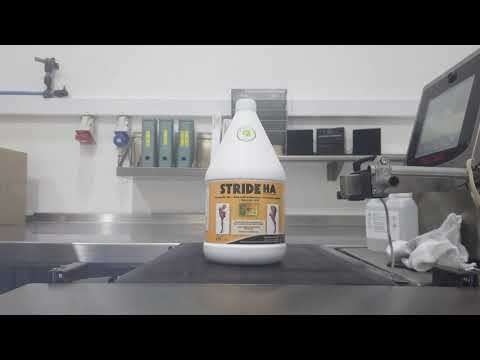 Stride MP (Maintenance Program) Sachets (60x20g)