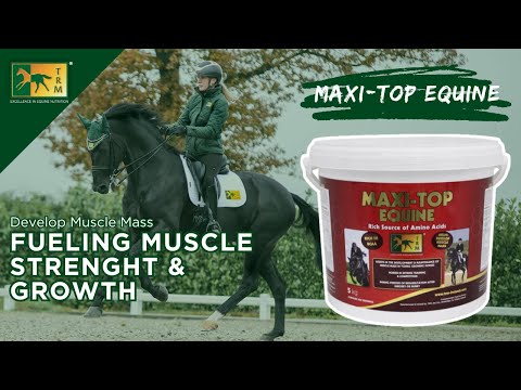 Maxi-Top Equine