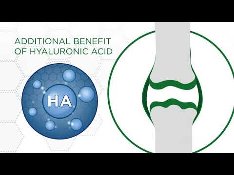 Stride HA | A Fast Acting Liquid Mobility Supplement