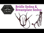 QHP Sedna 5 Point Breastplate