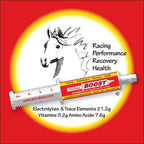 Pro-Dosa Boost Syringe