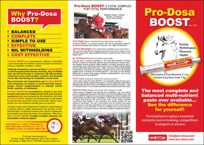 Pro-Dosa Boost Syringe