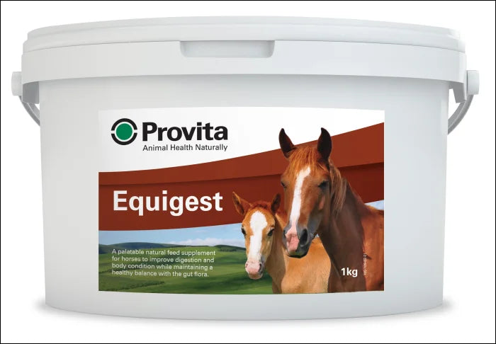 Provita Equigest - 1kg