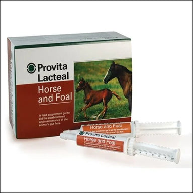 Provita Lacteal 32g Syringe