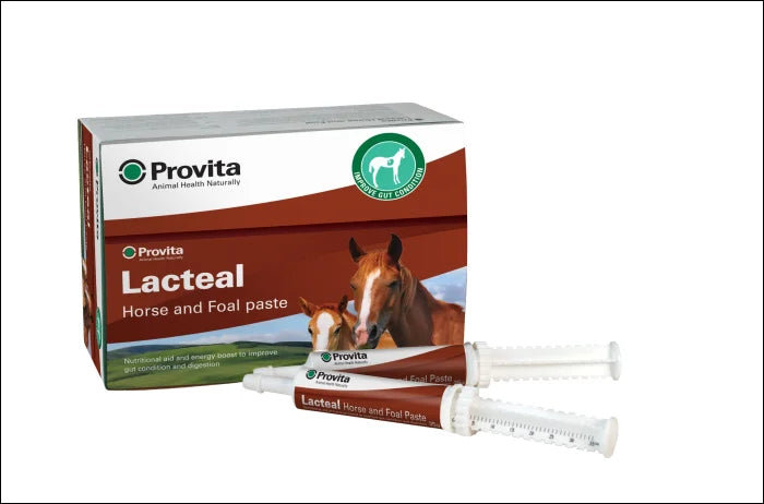Provita Lacteal 32g Syringe