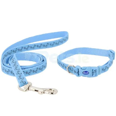 Puppy Collar & Lead Paw Bone - Blue