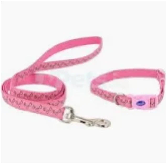 Puppy Collar & Lead Paw Bone - Pink