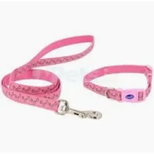 Puppy Collar & Lead Paw Bone - Pink