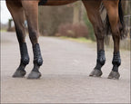 QHP Champion Fetlock Boots - Black