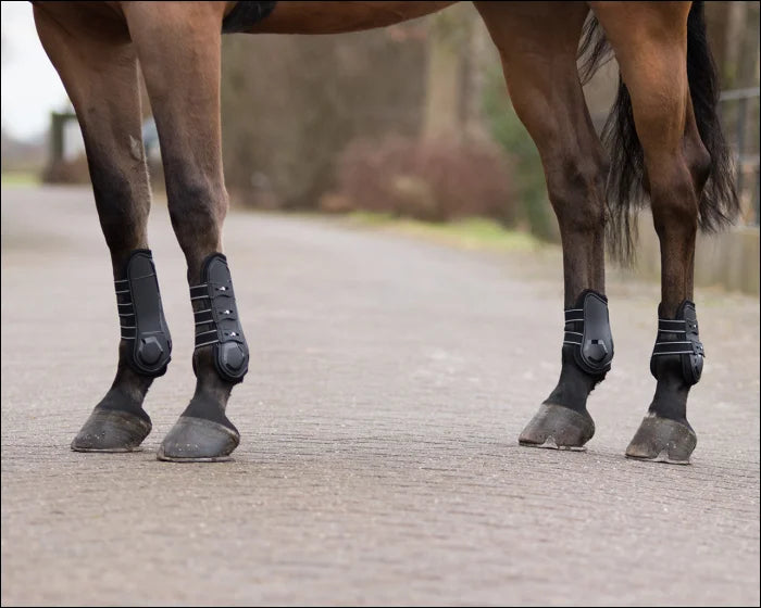 QHP Champion Fetlock Boots - Black