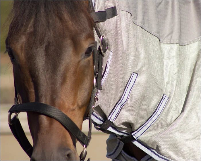 QHP Combo Fly Rug Waterproof Back - Grey