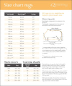 QHP Fleece Rug With Neck - Blue