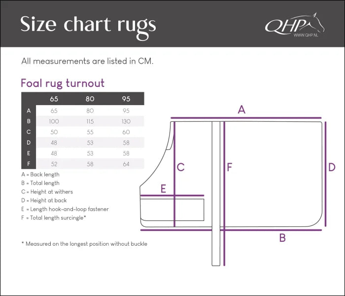 QHP Foal Turnout Rug 100gr - Navy