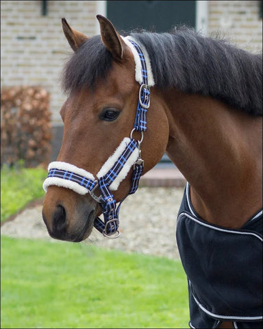 QHP Headcollar Set Fur