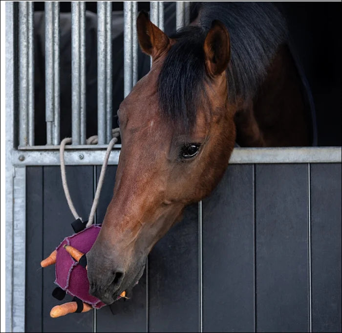 QHP Horse Toy Ball