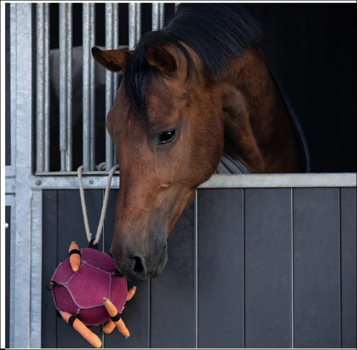 QHP Horse Toy Ball