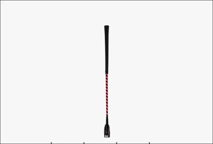 QHP Jumping Whip Eldorado - 65cm