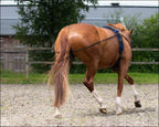 QHP Lunging Reins Double - Black